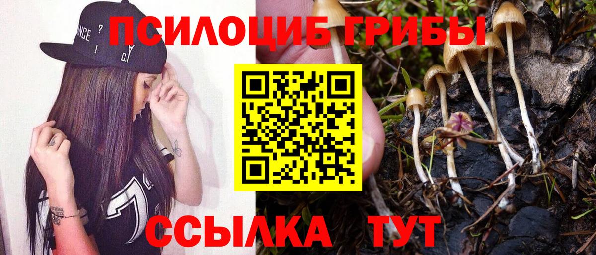 Псилоцибиновые грибы Cubensis Узловая