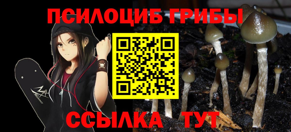 Узловая  Галлюциногенные грибы ЛСД  Вход с VPN  Галлюциногенные грибы прущие грибы 